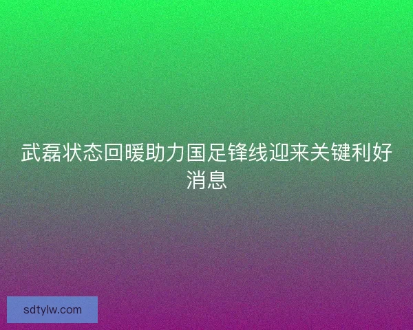 武磊状态回暖助力国足锋线迎来关键利好消息